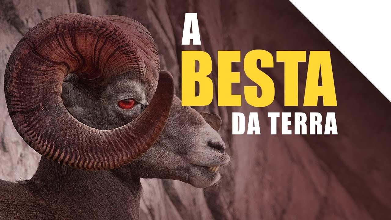 A BESTA QUE SURGIU DA TERRA | Fim dos tempos | Palavras de Deus | Lamartine Posella