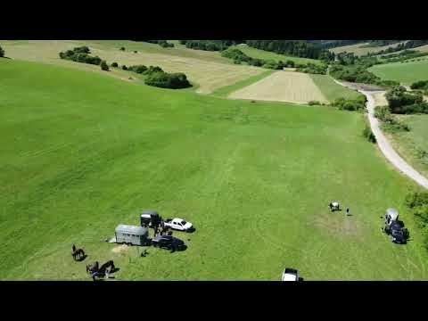 Výstava koní 2025 Veličná.