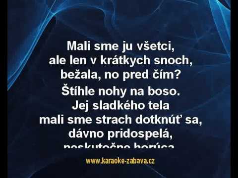 Karaoke klip Dievča Amerika - Pavol Habera