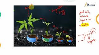 Definition of Irrigation -  Introduction to Irrigation - Water Resource Engineering 1