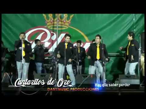 Mix Hay Que Saber Perder - Cantaritos De Oro