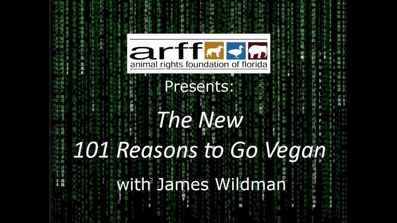James Wildman