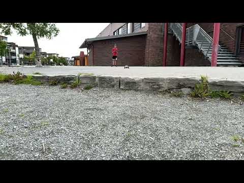 Tamiya Grasshopper 2 Jump Slow Mo