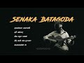 Senaka Batagoda Best Songs Collection Mixtapes HD
