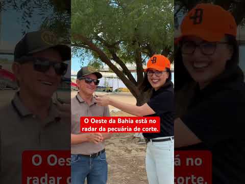 Oeste da Bahia: a força da pecuária de corte em Santa Rita de Cássia.