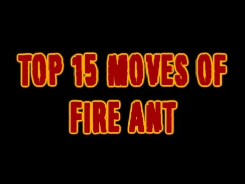 Top 15 Moves of Fire Ant (TFz Classic)