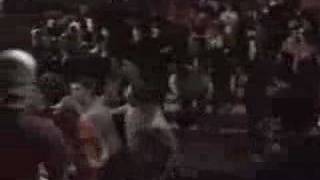 Have Heart - Lionheart