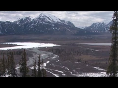 From rock'n'roll to the sounds of nature: Bernie Krause records Arctic sounds