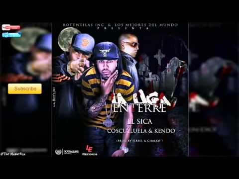 La Liga Enterre   LaSica Ft  Cosculluela n Kendo Kaponi   NEW Reggaeton 2014 www videograbber net