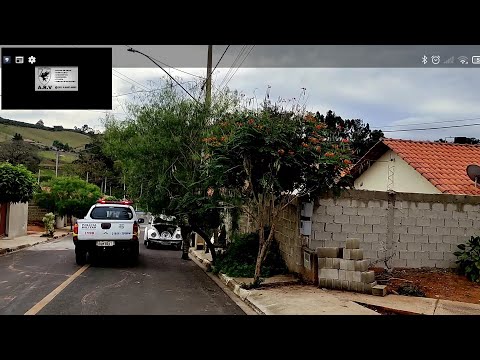 MORADORA DO GARGATÁ CORTA ÁRVORE SEM AUTORIZAÇÃO.