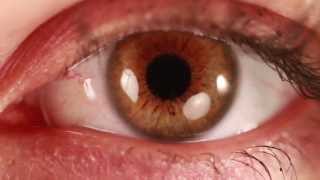 VUOI SEGUIRMI? (FallingPlates, Italian)