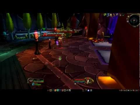 Illidari Council - BM Hunter Solo