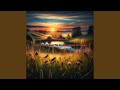 Nocturnal Journey Crickets For The Soul
