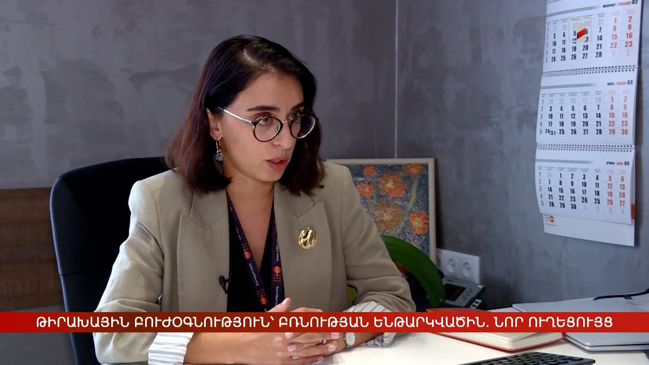 Թիրախային բուժօգնություն՝ բռնության ենթարկվածին. նոր ուղեցույց