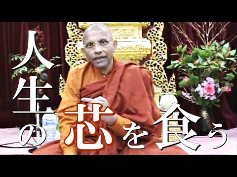 ブランドで飾った人生にサヨナラ