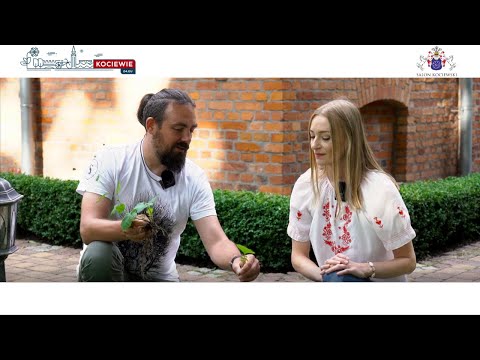 Słowiański Zielnik - Michał Konkel zaprasza na lekcję ziołolecznictwa.