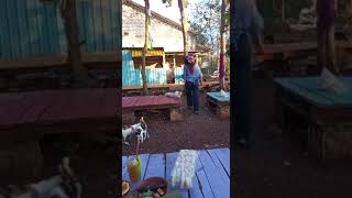 Download lagu Mentahan Halu buat para jomblo prank teman 🤭 lagi makan bareng 😂 mp3