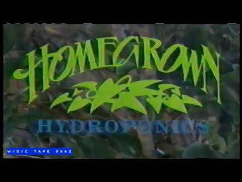 WOC Tape 0662 Local Commercials Compilation - 1995
