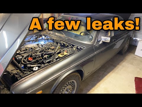 A V12 with Several COOLANT LEAKS in the Workshop