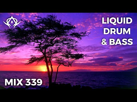 Liquid Drum and Bass Mix 339