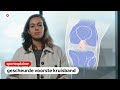 Knikkende knieën in het vrouwenvoetbal | Sportexplainer