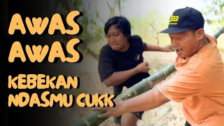 Download lagu MEMBANTU PAK MBUT JADI SEMRAWUT - WTS EPS 5 mp3