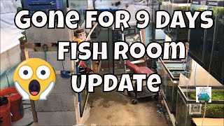 Gone for 9 days!!! Fish Room Tour! See what happened! Fish Room VLOG