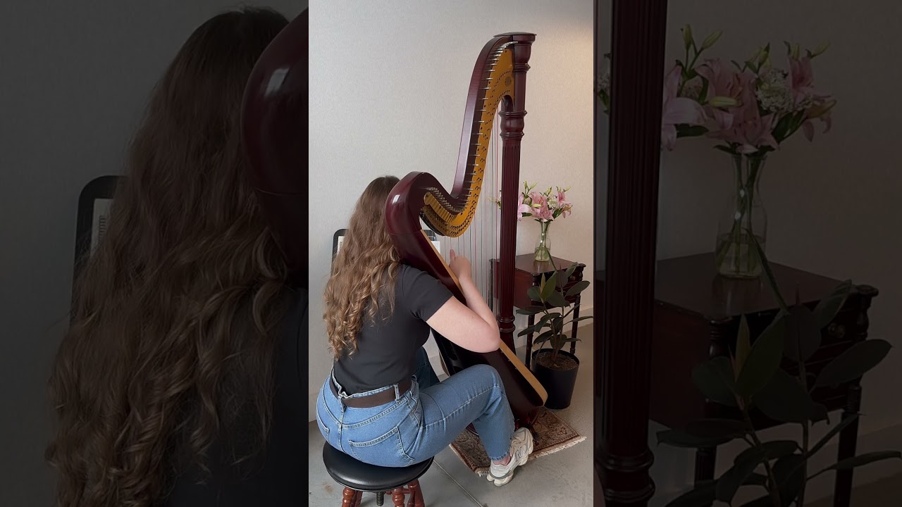 Promotional video thumbnail 3 for Lynden’s Harp Music