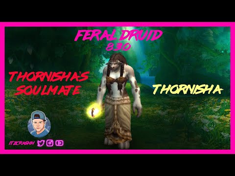 THORNISHA'S SOULMATE - Feral Druid PVP - WoW BFA 8.3.0