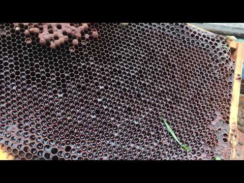 Shaking out a Drone Layer