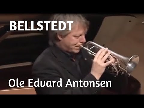 H. Bellstedt - Napoli