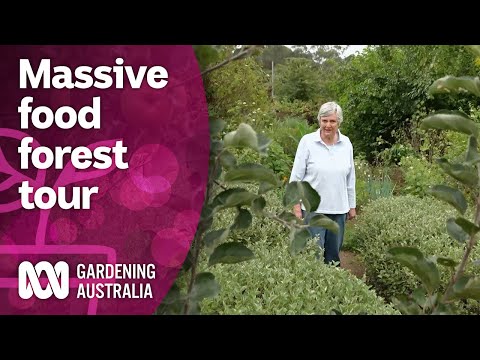 Touring an amazing food forest with over 300 edible plants | Discovery | Gardening Australia