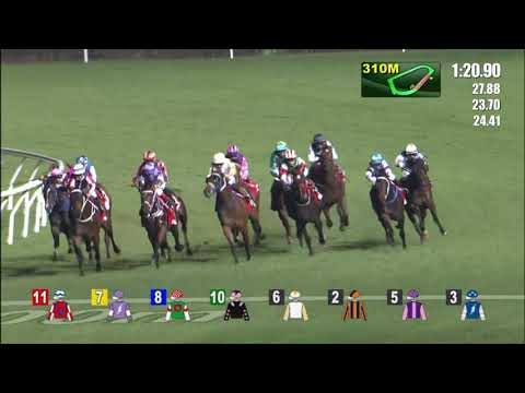 17/11/2021 (186) Fa Fa - Vincent Ho