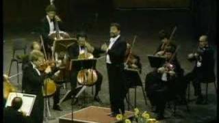 Shlomo Mintz: Four Seasons Autumn III. Allegro