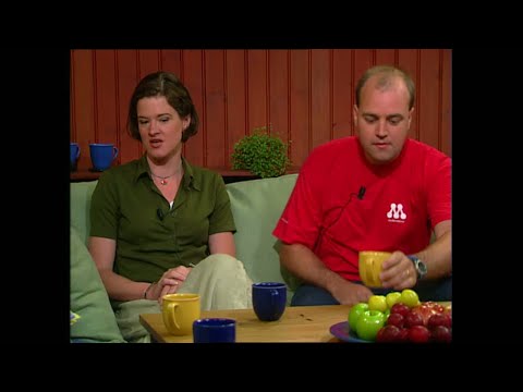 Anna Kinberg Batra genom åren: En tillbakablick på hennes karriär - Nyhetsmorgon (TV4)