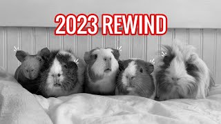 2023 Rewind || Little Kingdom
