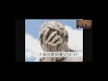 20210328 我 行 這 事 有 罪~楊 啟 輝 傳道 20210328 我 行 這 事 有 罪~楊 啟 輝 傳道