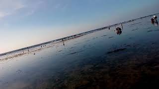 preview picture of video 'Bolinao trip low tide 2017'