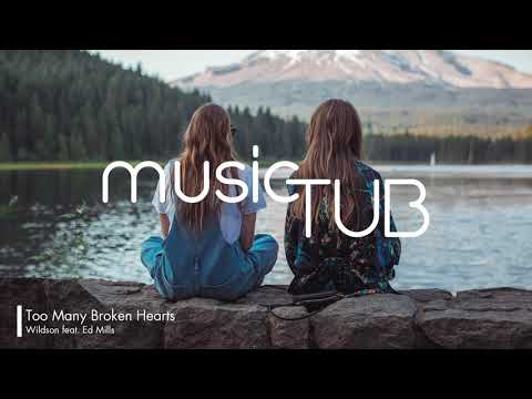 Too Many Broken Hearts - Wildson feat. Ed Mills [Soul Music]