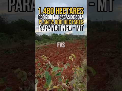 [ REGIÃO DE PARANATINGA ] FAZENDA A VENDA NO MATO GROSSO - PLANTA ENTRE 800 A 900 HECTARES