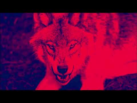 Łagodny x M Suchy -  Only I