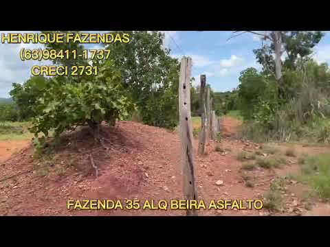 FAZENDA NO TOCANTINS AS MARGENS DO ASFALTO ENTRE PORTO NACIONAL E FÁTIMA