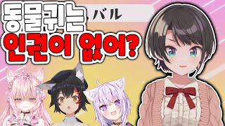 실언왕의 자리는 굳건하다[홀로 라이브/오오조라 스바루/네코마타 오카유/오오카미 미오/하쿠이 코요리]