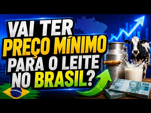Vai ter preço mínimo para o leite no Brasil?