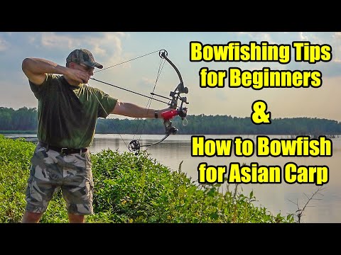 Bowfishing for Beginners – Bowfishing for Asian Carp