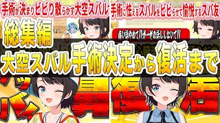 【総集編】大空スバル鼻バッバイ手術まとめ