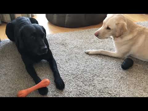 Olive and Mabel. Episode 2 - Game of Bones