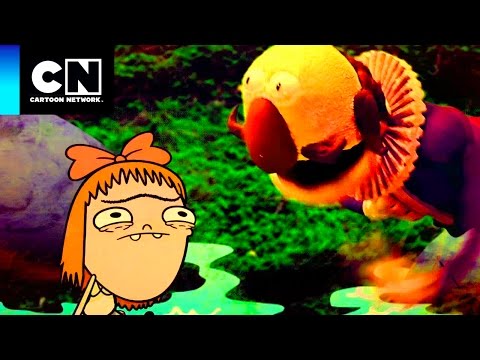 Capa de Hora de Dormir | Irmão do Jorel | Memórias do Saltitão | Cartoon Network