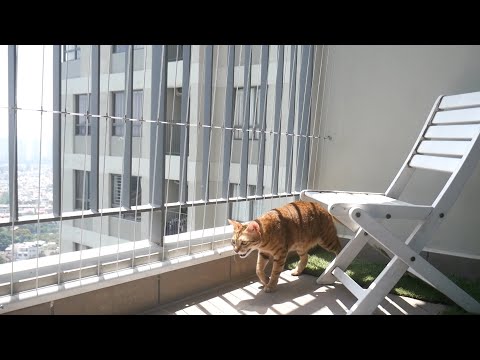 Cattifiying my cat's balcony! Wire fence catio