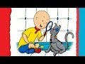 Caillou Find Gilbert Game For Kids